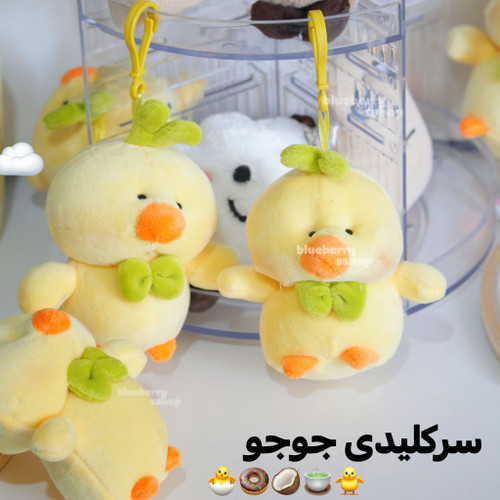 سرکلیدی جوجه یا اردک